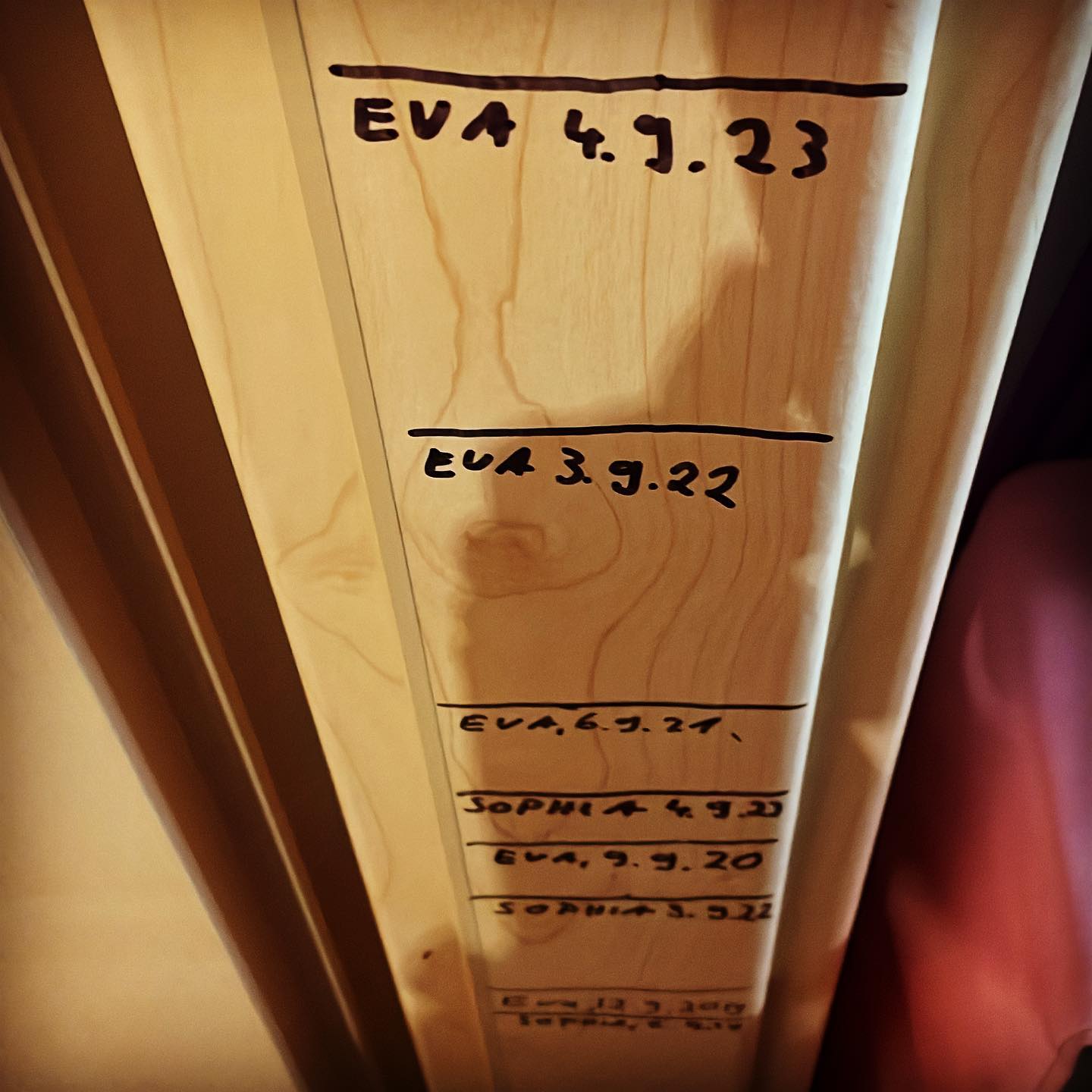 374819081_1983351858709294_4145307744581508840_n_17999782610083330.jpg