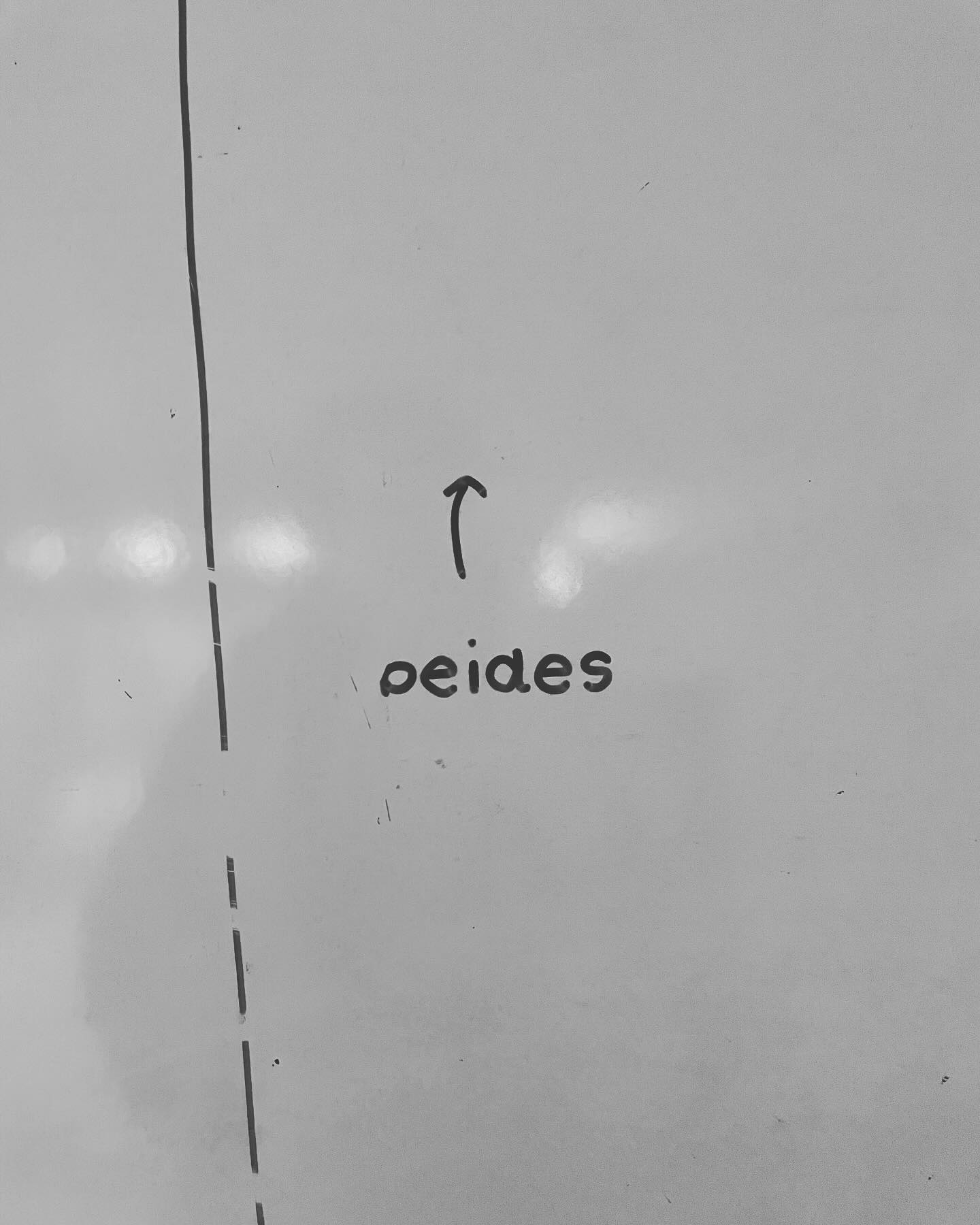 393518148_845466823966723_5061688375015103595_n_17981397476528848.jpg